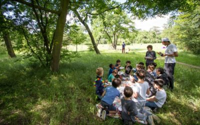Anniversaire en plein air : les meilleurs parcs dans les villes où Kidays intervient